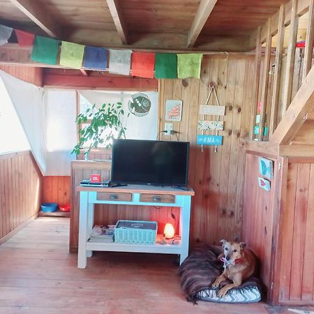 El Canto De La Ballena Bungalow 2 Niveles ปูแอร์โตปีรามีเดส ภายนอก รูปภาพ
